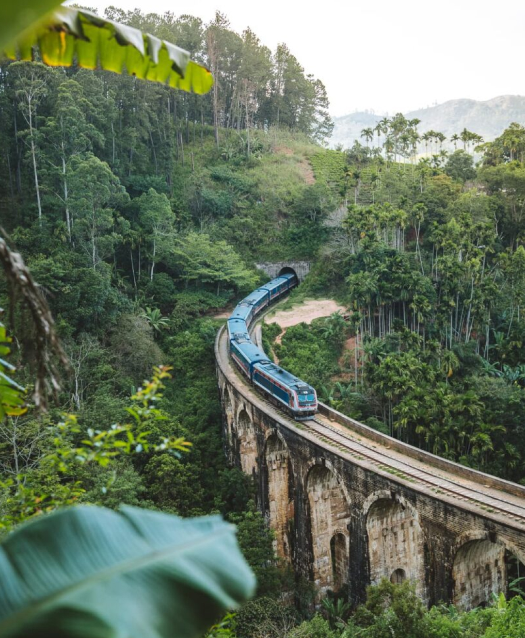 train passing on a bridge in ell
